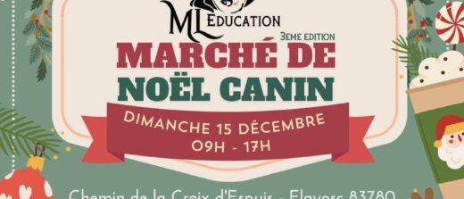 Marché de Noël Canin organisé par ML Education à Flayosc