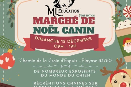 Marché de Noël Canin organisé par ML Education à Flayosc