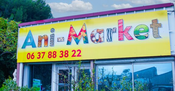 Ani-Market : votre magasin de confiance pour le bien-être animal