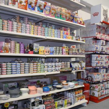 Ani-Market à Draguignan : Votre partenaire pour le bien-être animal