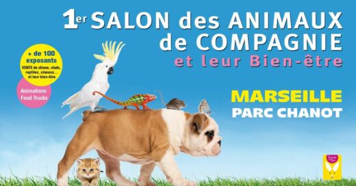4&#x20;et&#x20;5&#x20;janvier&#x20;2025&#x20;&#x3A;&#x20;1er&#x20;Salon&#x20;des&#x20;Animaux&#x20;de&#x20;Compagnie&#x20;et&#x20;Leur&#x20;Bien-&#x00CA;tre&#x20;&#x00E0;&#x20;Marseille